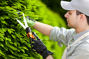 kertgondoz�s Balatonvil�gos