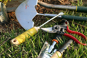 kertgondoz�s Balatonvil�gos